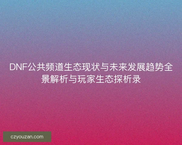 DNF公共频道生态现状与未来发展趋势全景解析与玩家生态探析录